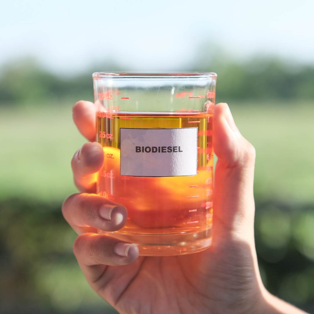 biodiesel